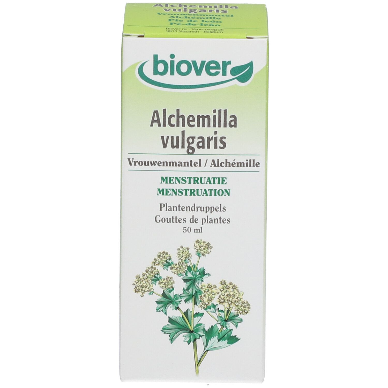 Productverpakking. Groen-witte doos met productnaam, plantillustratie en tekst. Merk: Biover.