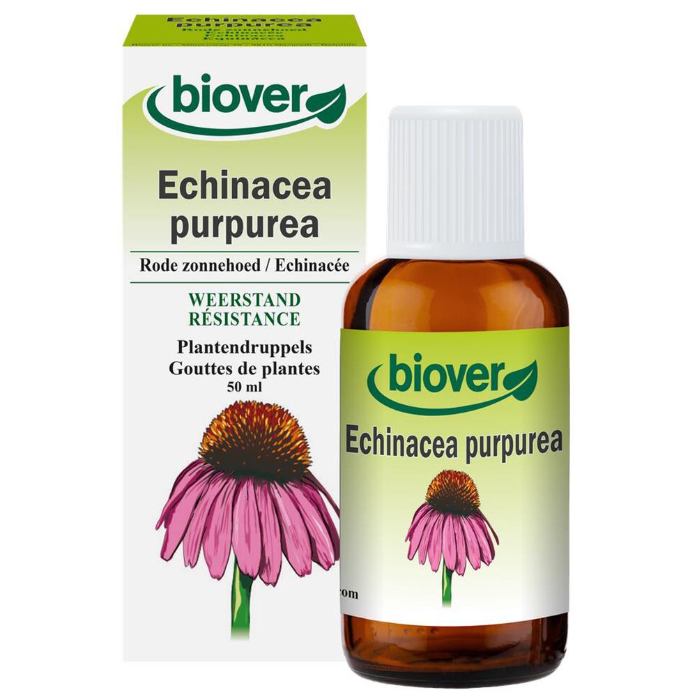 Biover Echinacea Purpurea