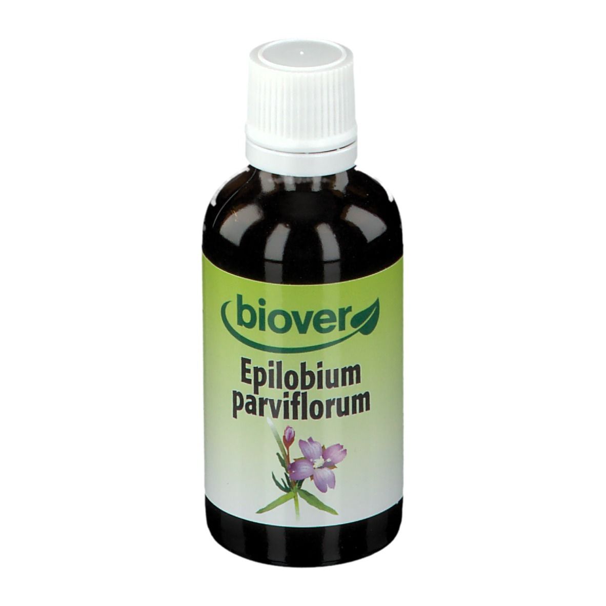 Biover Epilobium Parviflorum Weidenröschen