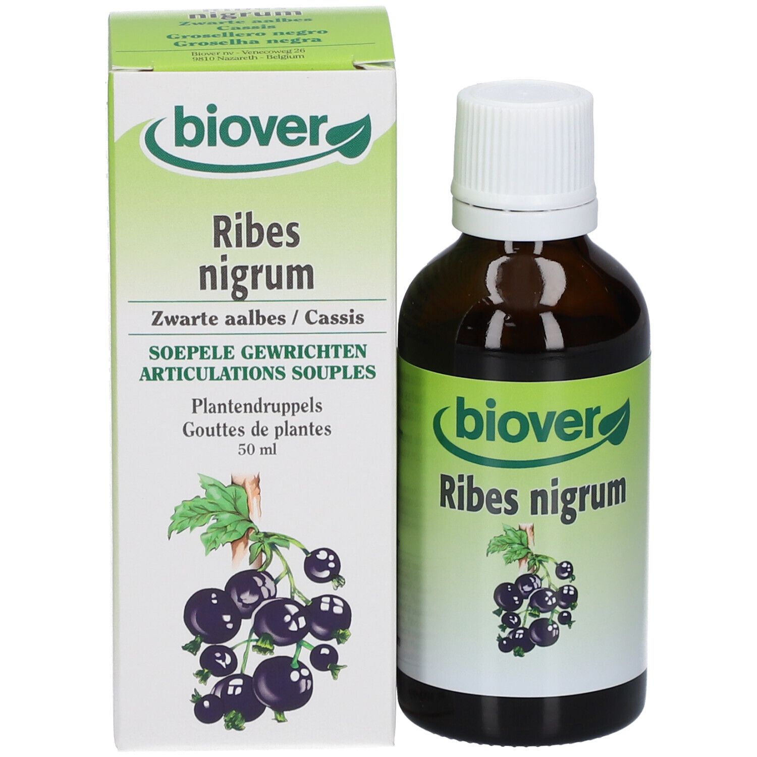 Flacon et emballage du produit. Flacon avec bouchon blanc, emballage avec logo, nom du produit et illustration de cassis.