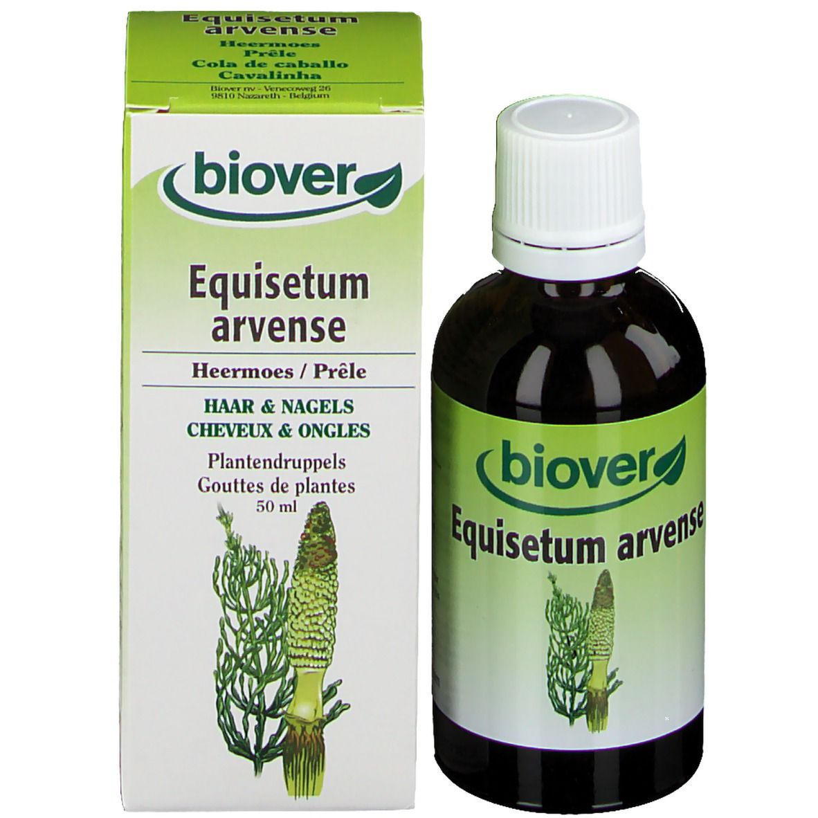 Flacon et emballage du produit. Flacon avec bouchon blanc et étiquette verte et blanche. Boîte avec logo et nom du produit.