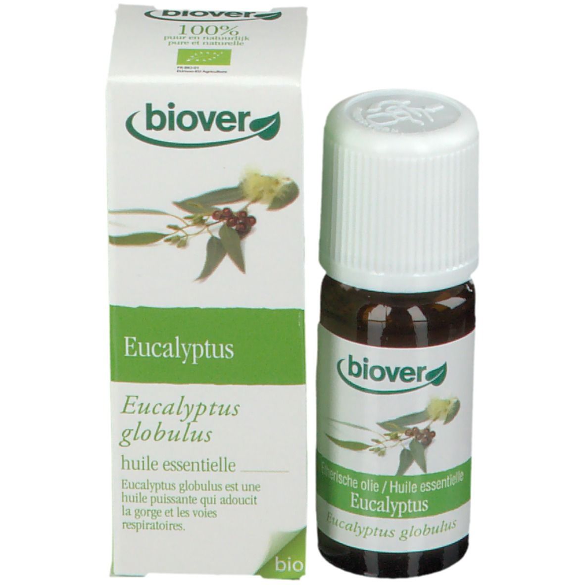Flacon en verre brun et emballage carton. Nom et logo du produit. Huile essentielle d'eucalyptus. Certification bio.