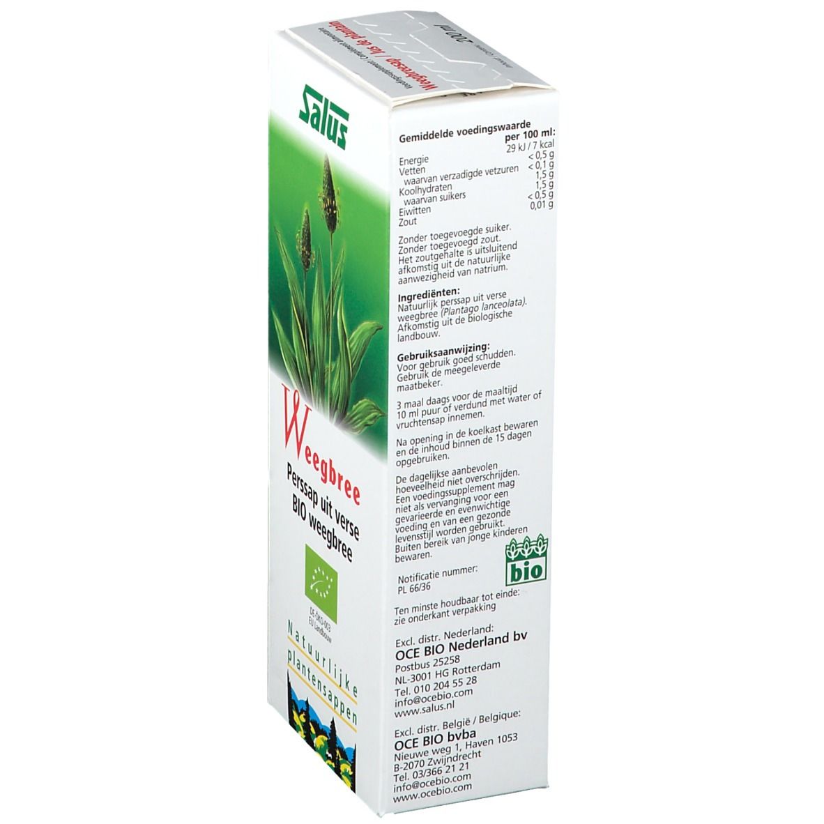 Vue latérale de la boîte Salus Spitzwegerich Saft Bio. Contient informations nutritionnelles, ingrédients et mode d'emploi.