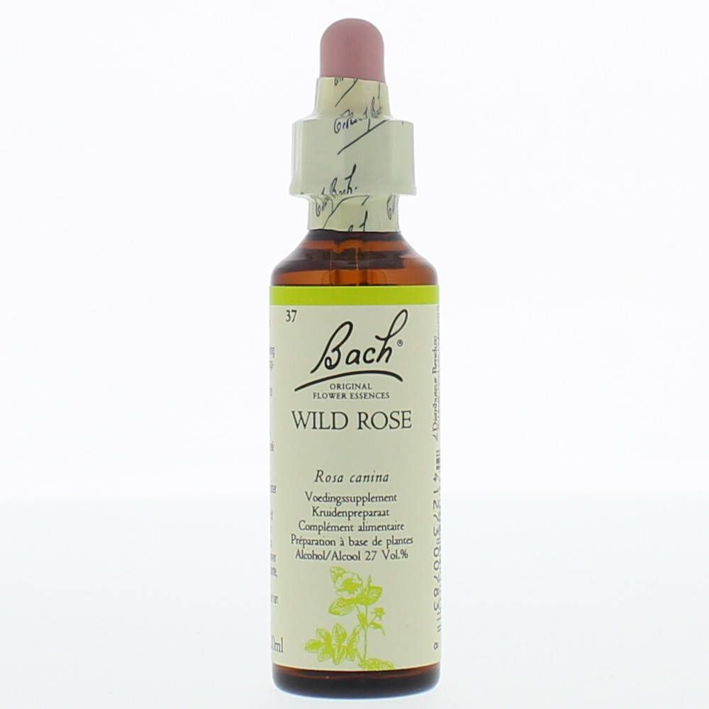 Braune Glasflasche mit rosa Verschluss. Etikett mit Produktnamen: Bach Wild Rose. Tropfer.