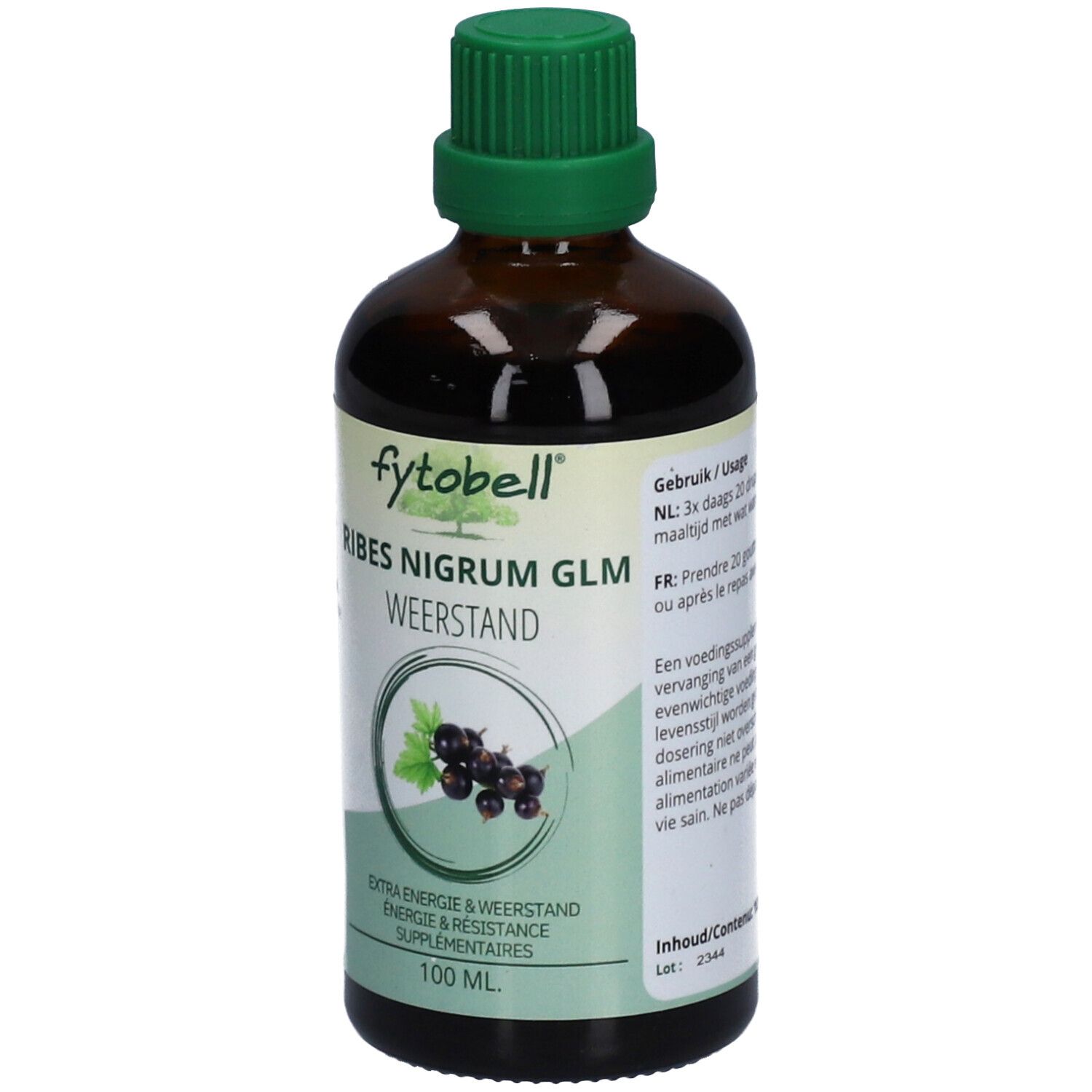 Braune Glasflasche mit grünem Verschluss. Etikett mit Produktnamen, Abbildung von Johannisbeeren und Text.