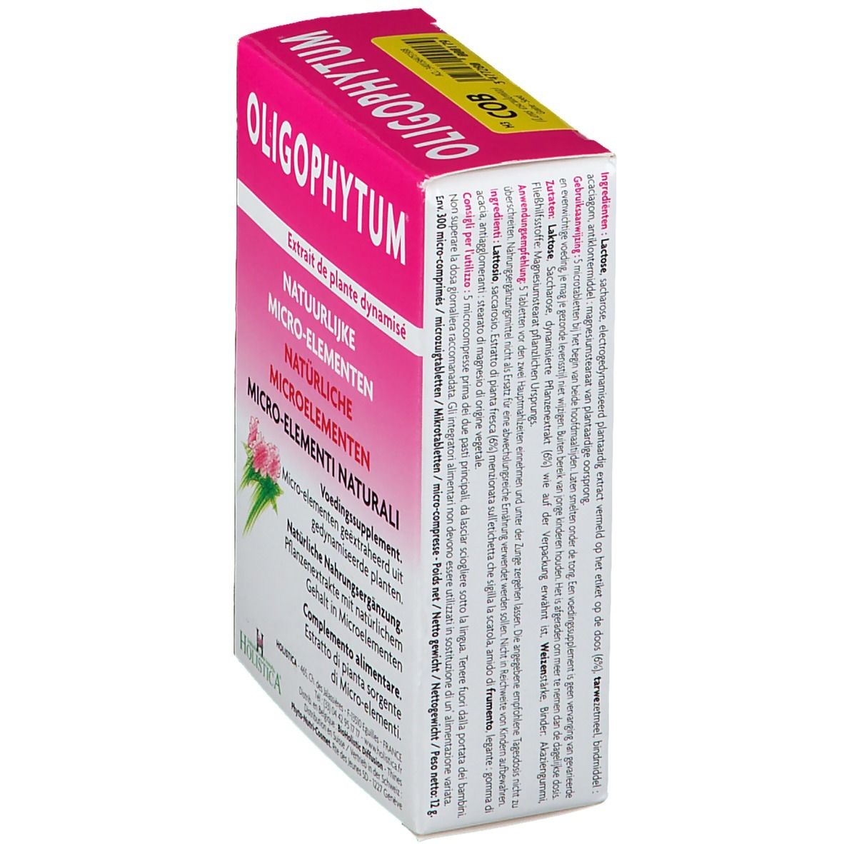 Boîte rose avec nom et logo du produit. Texte: Micro-éléments naturels, ingrédients, dosage. Logo: Holistica.