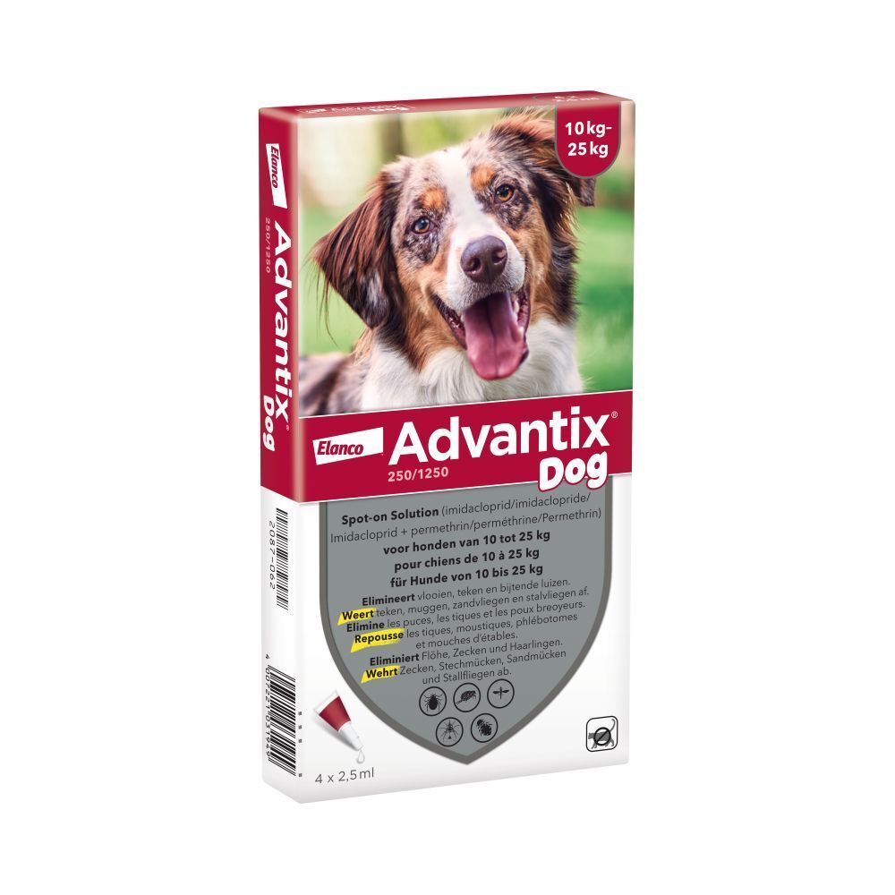 Boîte Advantix Dog 250/1250 avec photo de chien. Pour chiens de 10 à 25 kg. Contient 4 x 2,5 ml.