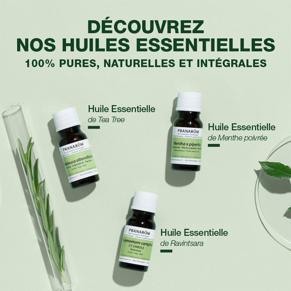 Drei Flaschen ätherischer Öle. Text: Huile Essentielle de Tea Tree, Menthe poivrée, Ravintsara.