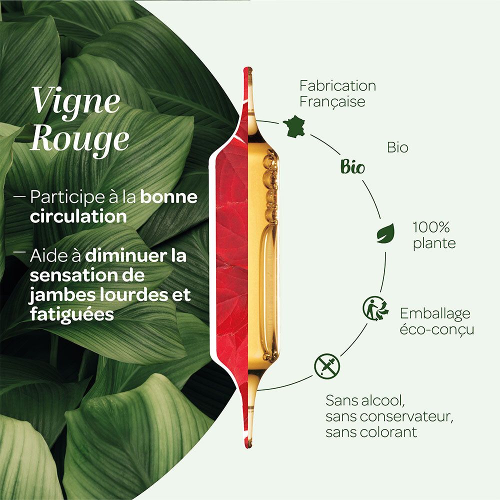 Représentation graphique d'une ampoule SUPERDIET Vigne Rouge Bio. Inscriptions : Bio, 100% plantes, sans alcool, conservateur et colorant.