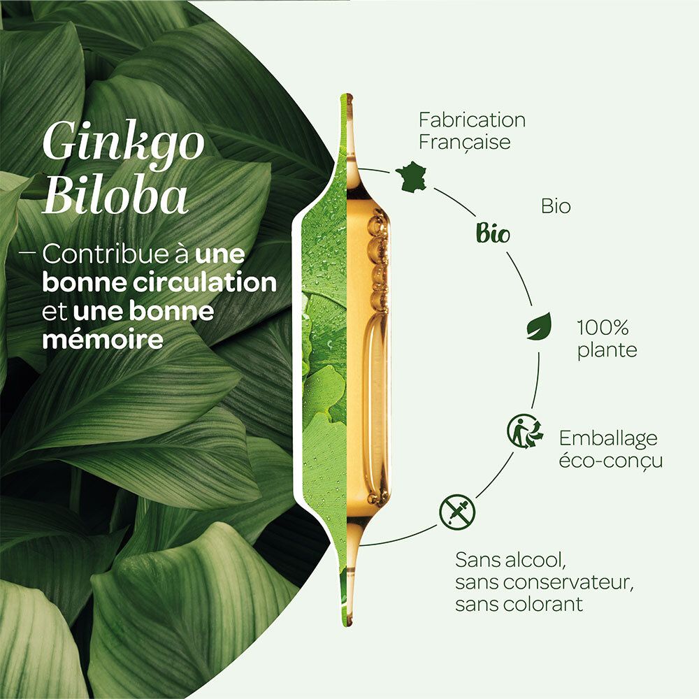 Ginkgo Biloba Bio. Illustration avec feuille de ginkgo et ampoule. Informations sur ingrédients et certifications.