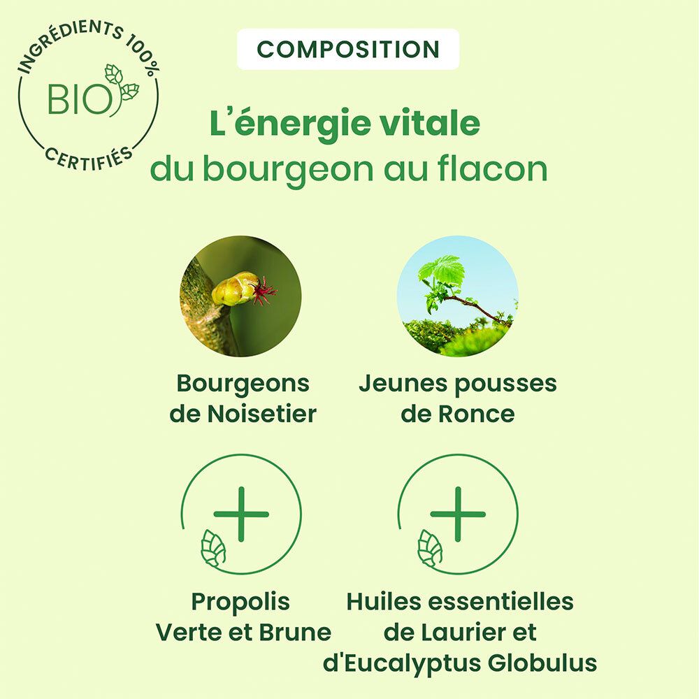 Grafiek met ingrediënten. Bourgeons de Noisetier, Jeunes pousses de Ronce, Propolis Verte et Brune, Huiles essentielles.
