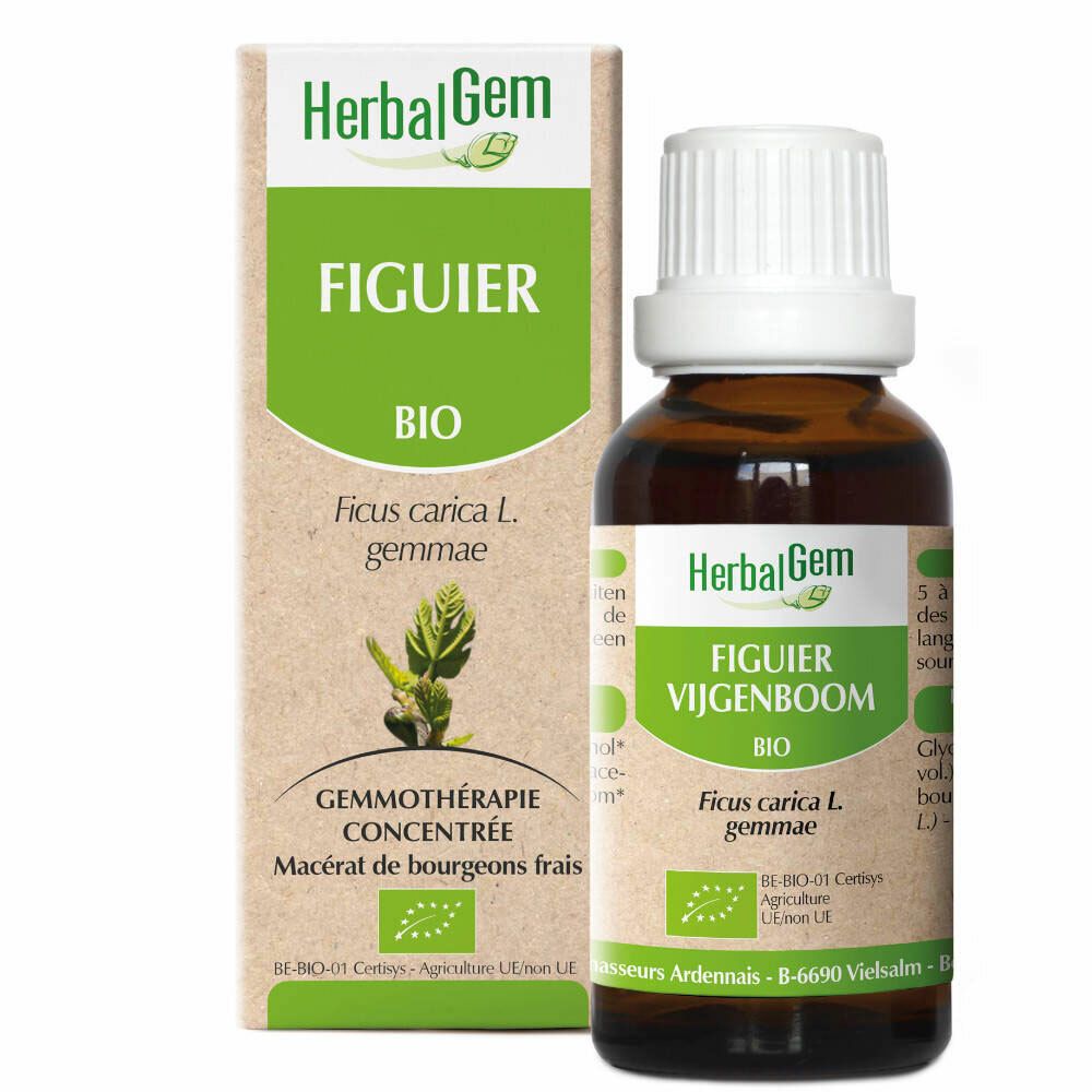 HerbalGem Feigenbaum Bio