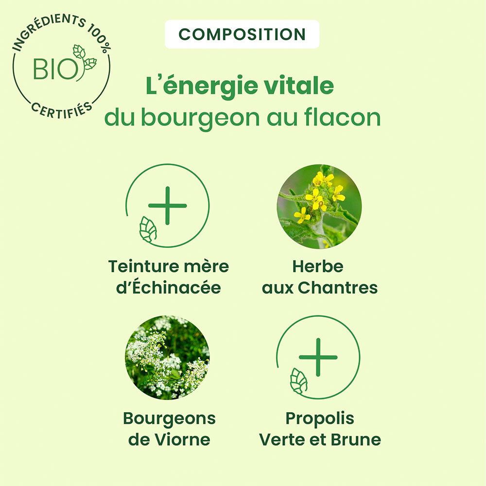 Graphique avec ingrédients. Certification bio et symboles verts.
