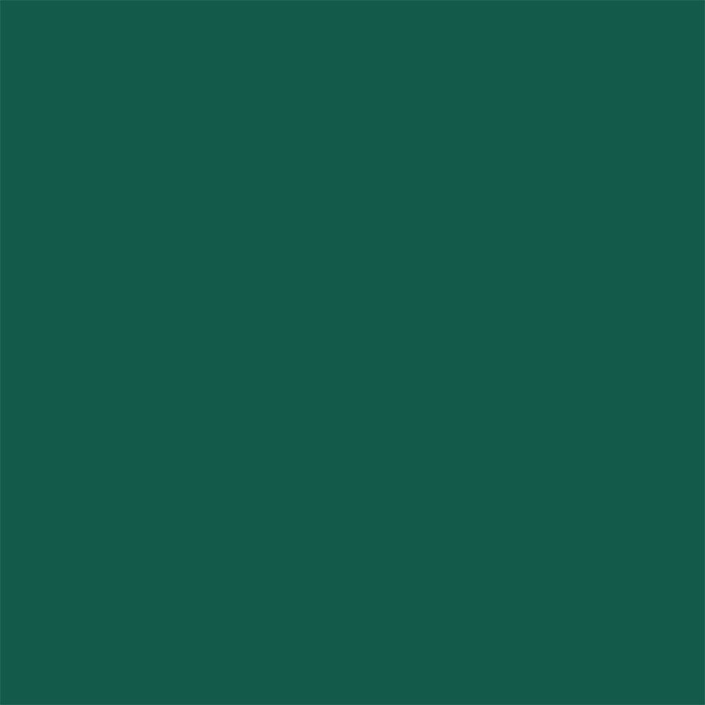 Fond vert foncé uni.