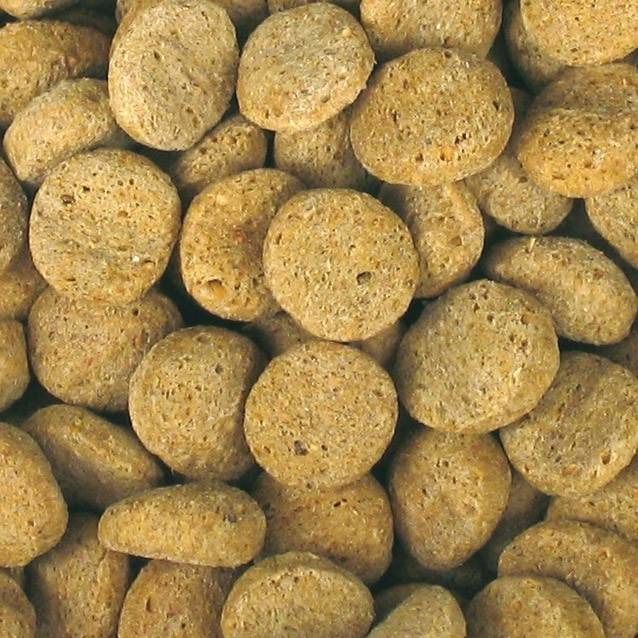 Gros plan sur des croquettes rondes et brun clair pour chiens. Les croquettes ont une surface irrégulière et sont denses.