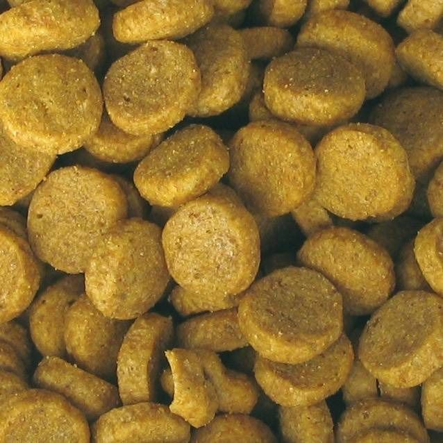 Tas de granulés ronds et brun clair, ressemblant à des céréales. Les granulés sont plats et ont une surface inégale.