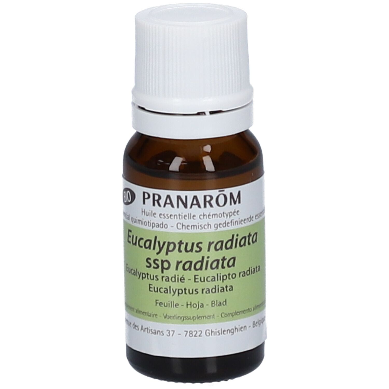 Pranarom Eukalyptus radie