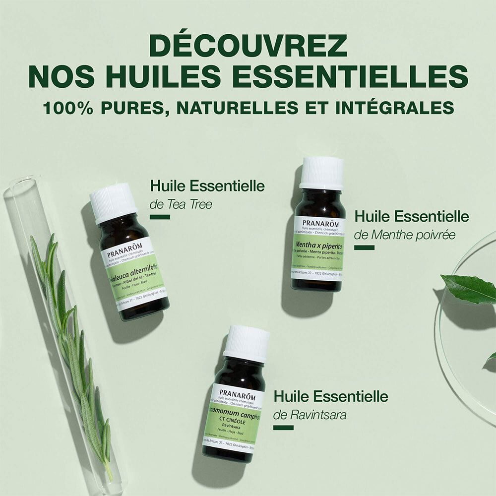 Drei Flaschen ätherischer Öle. Text: Huile essentielle de Tea Tree, Menthe poivrée, Ravintsara.