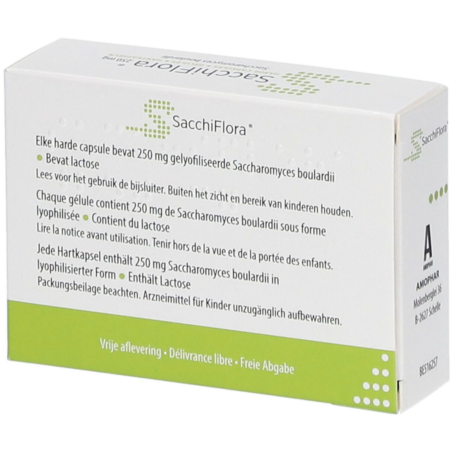 Dos de la boîte Sacchiflora 250 mg. Texte : ingrédients, mode d'emploi, avertissements. Adresse du fabricant.