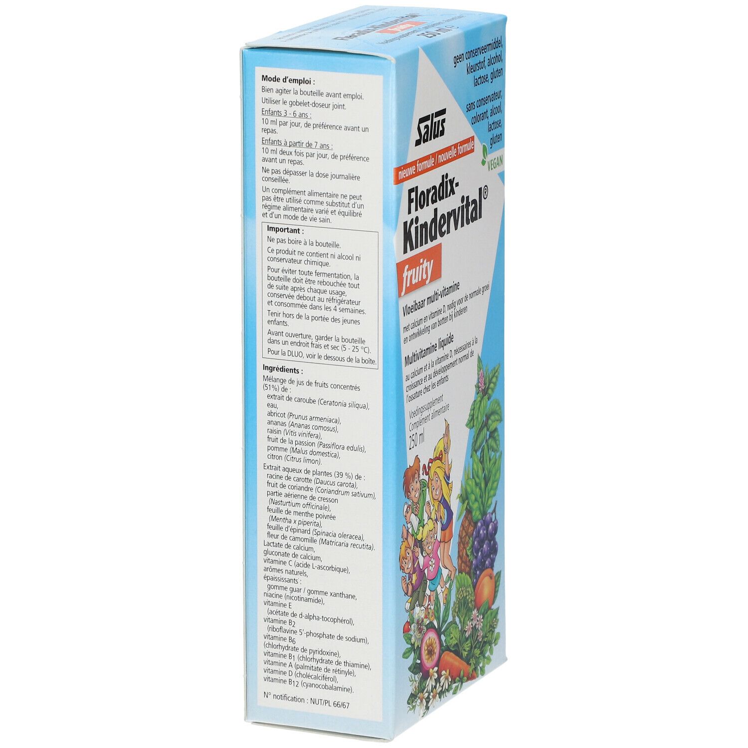 Boîte en carton Salus Floradix Kindervital. Inscription : Fruity, Multivitamine. Avec illustrations d'enfants et de fruits. Vegan.