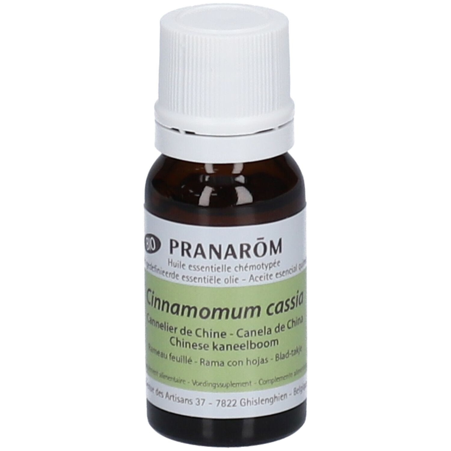 Pranarom Zimtbaum