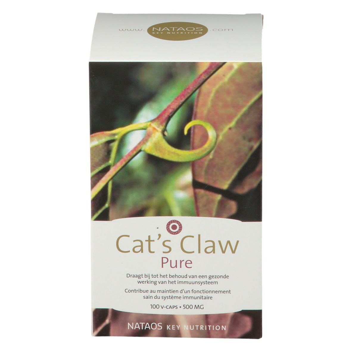 Boîte Cat's Claw Pure, 100 V-Caps, 500 mg. Nataos Key Nutrition. Illustration de feuilles. Texte multilingue.