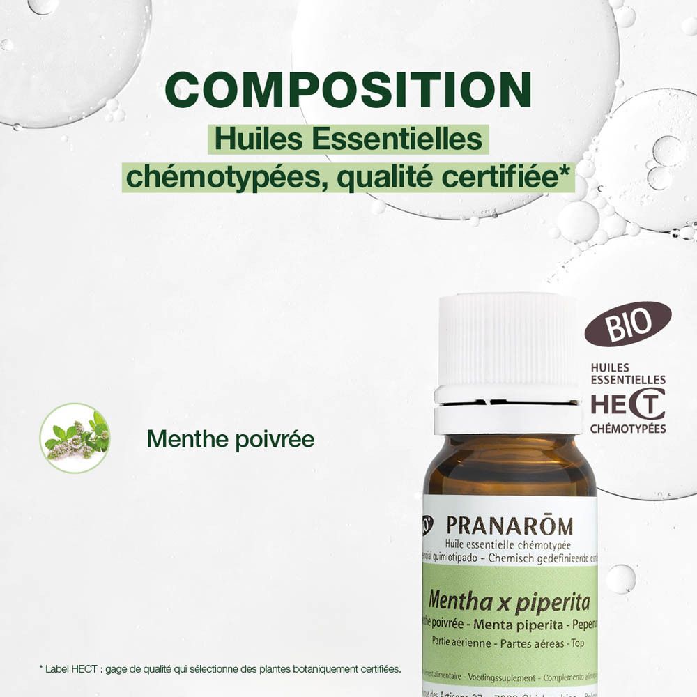 Pranarom Pefferminze