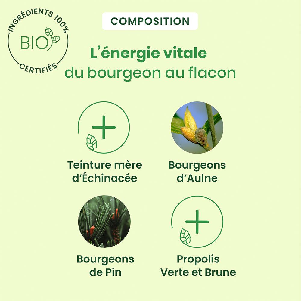 Grafiek met ingrediënten. Bio-certificering. Ingrediënten: Echinacea, elzenknoppen, dennenknoppen, groene en bruine propolis.
