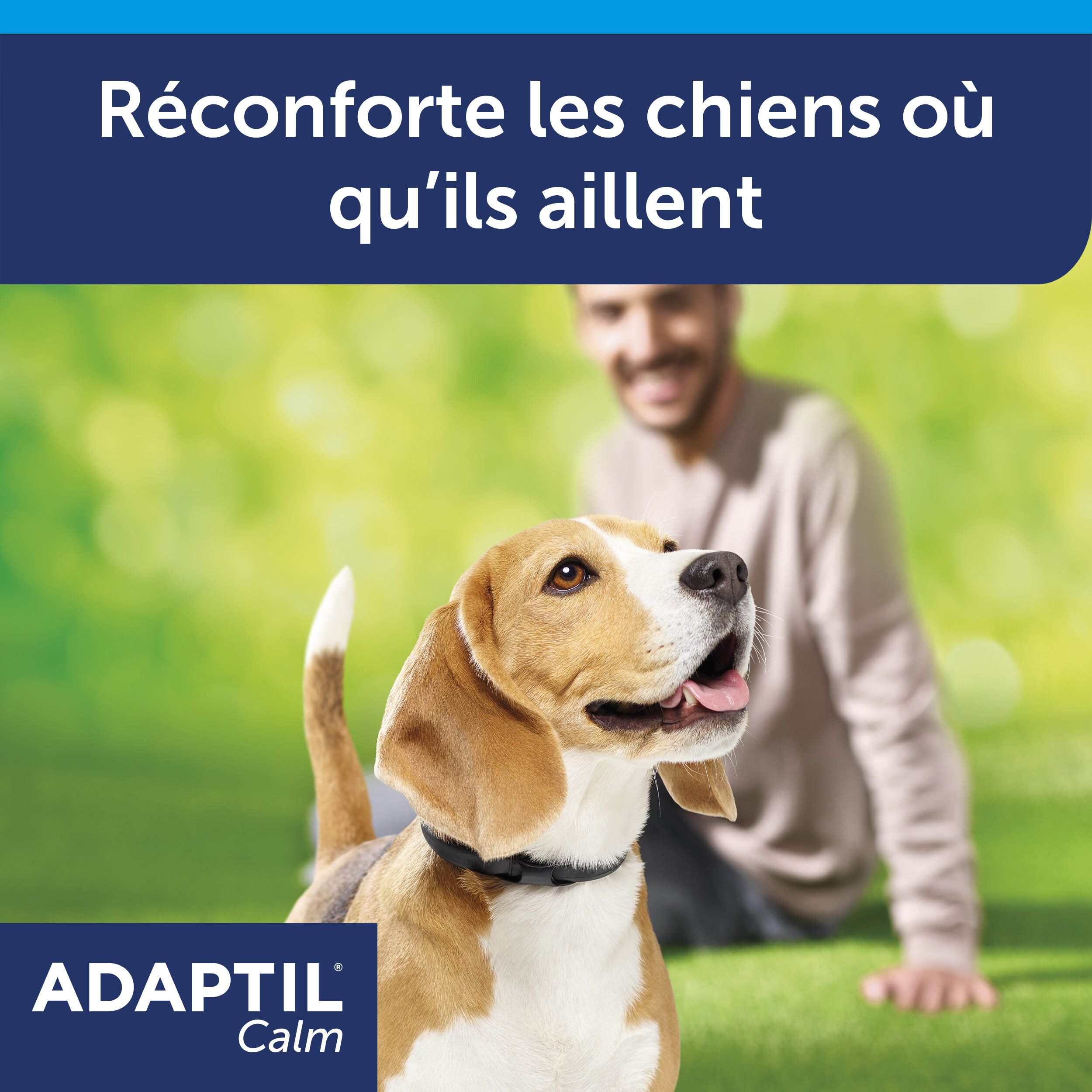 Boîte ADAPTIL Calm Collier. Texte: Apaise les chiens. Chien représenté.