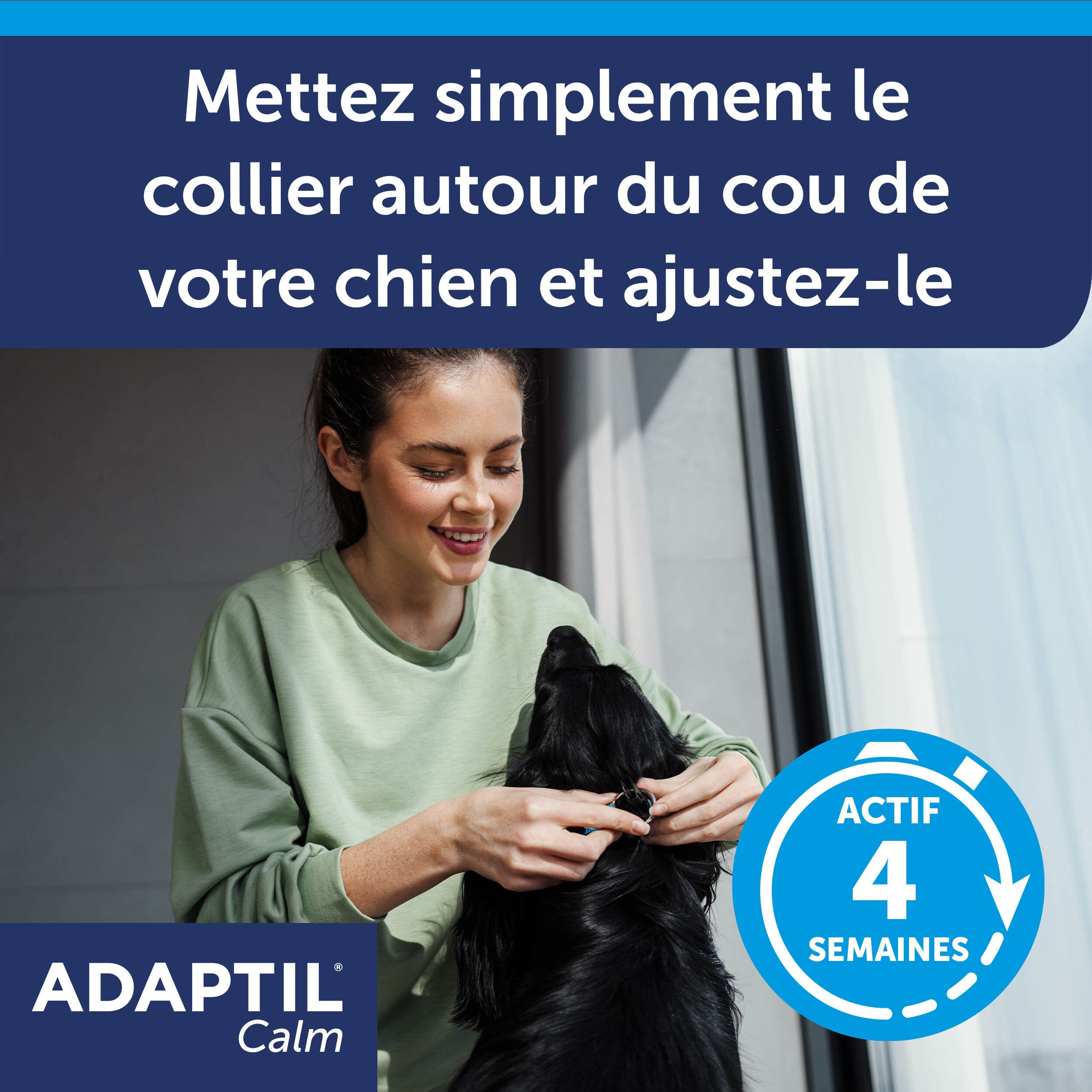 Femme mettant un collier à un chien. Texte: Mettez le collier.