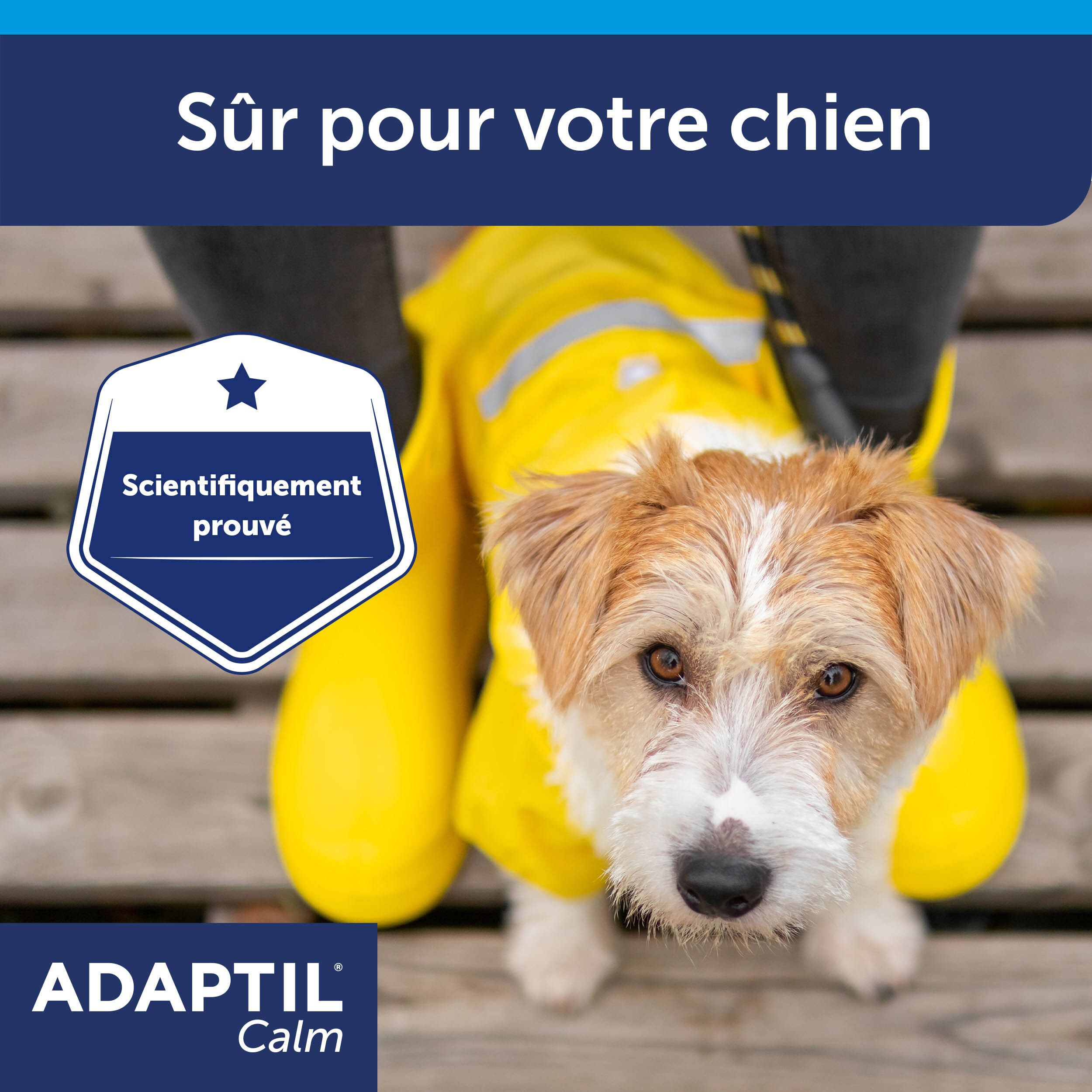 Chien avec imperméable jaune. Texte: Sûr pour votre chien. Prouvé scientifiquement.