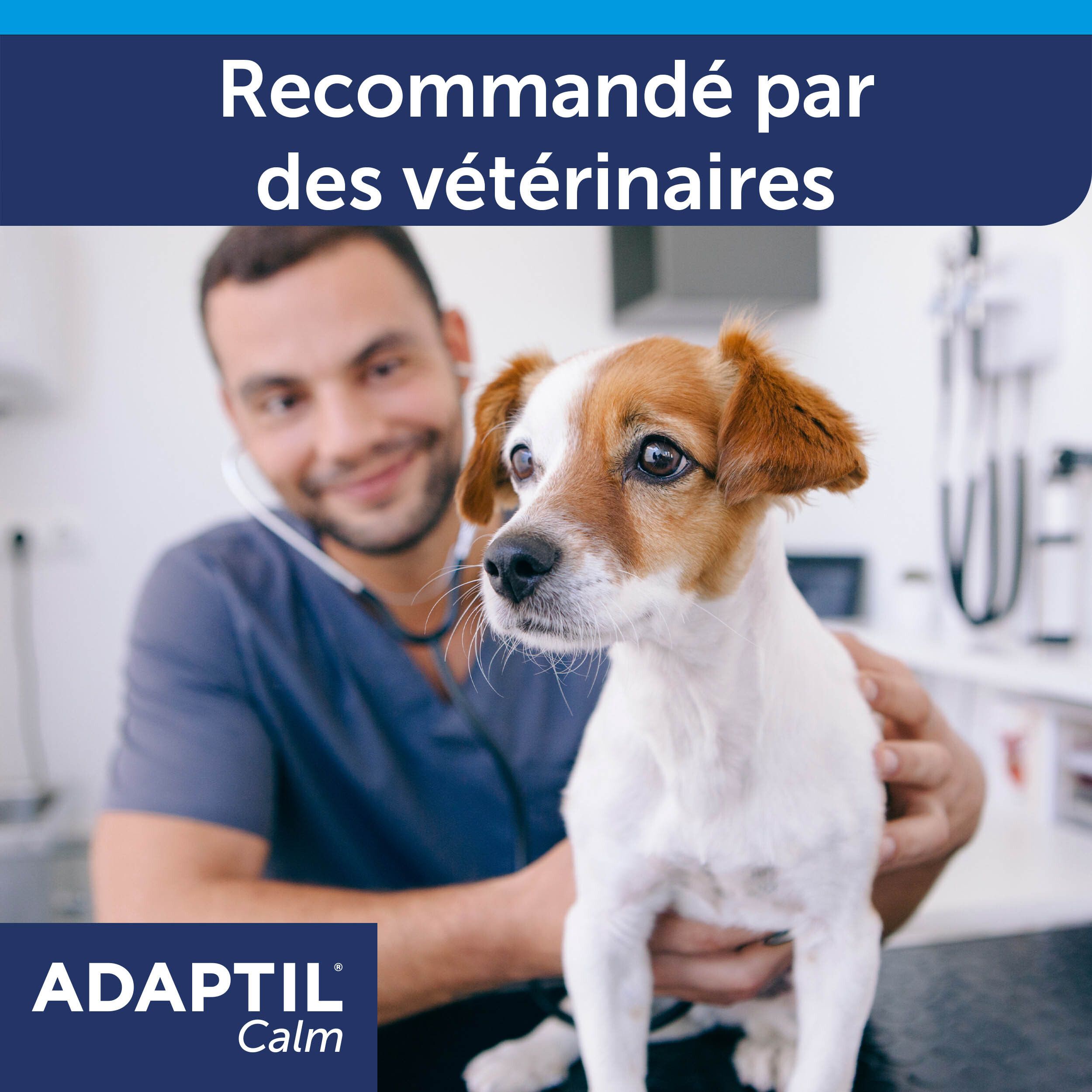 Vétérinaire examinant un chien. Texte: Recommandé par les vétérinaires. Logo ADAPTIL Calm.