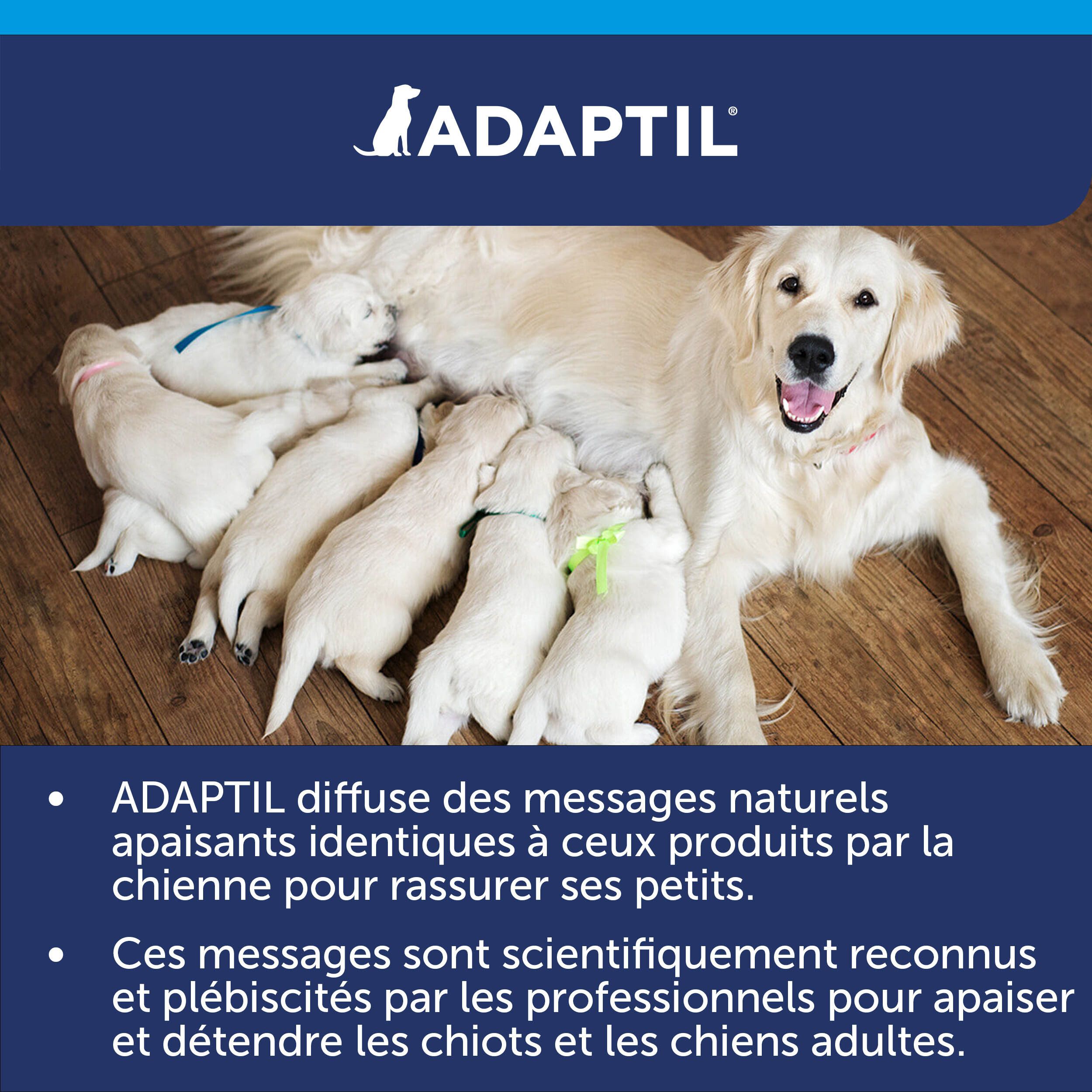 Chienne avec chiots. Texte: ADAPTIL diffuse des messages naturels. Logo ADAPTIL Calm.