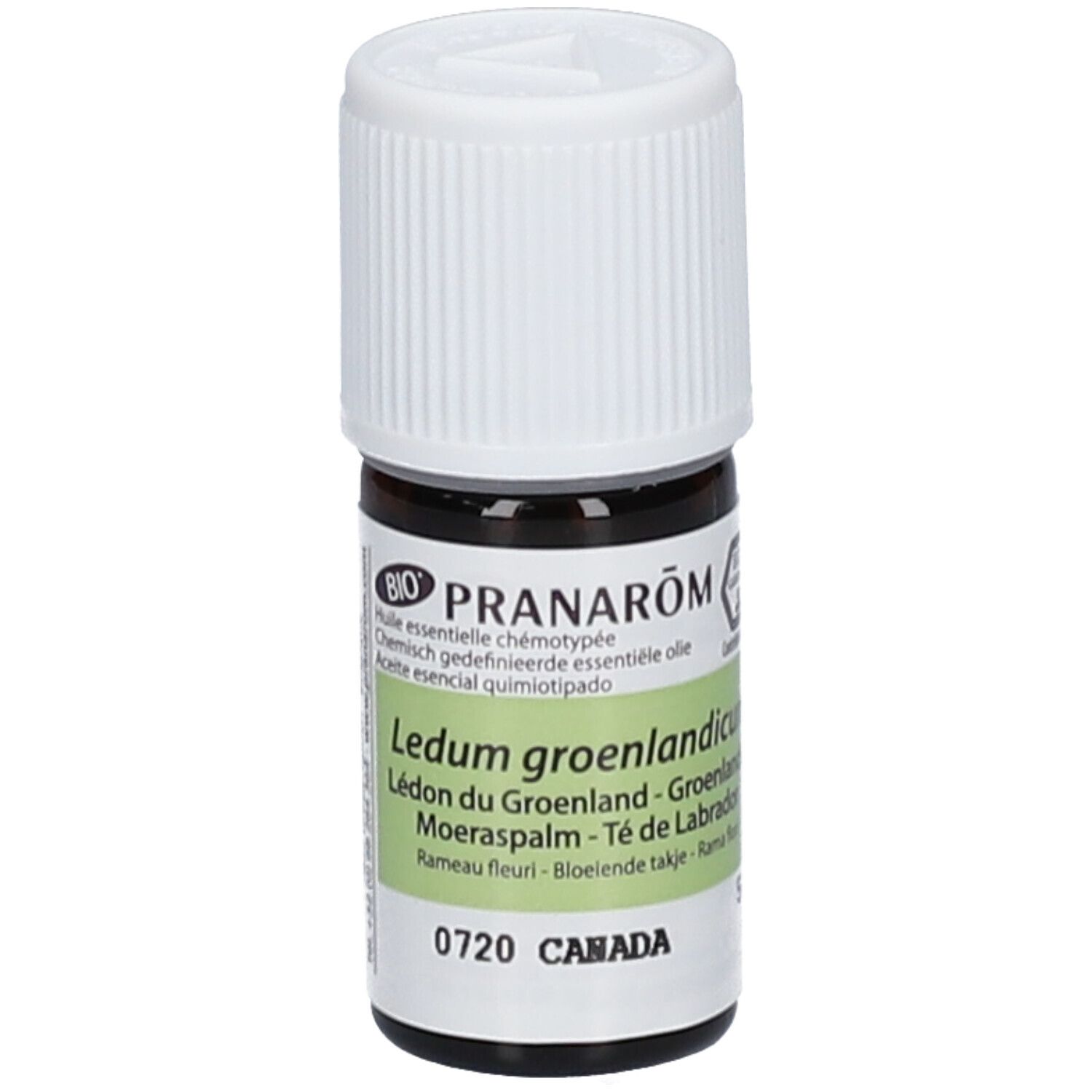 Pranarom Ledon du Groenland