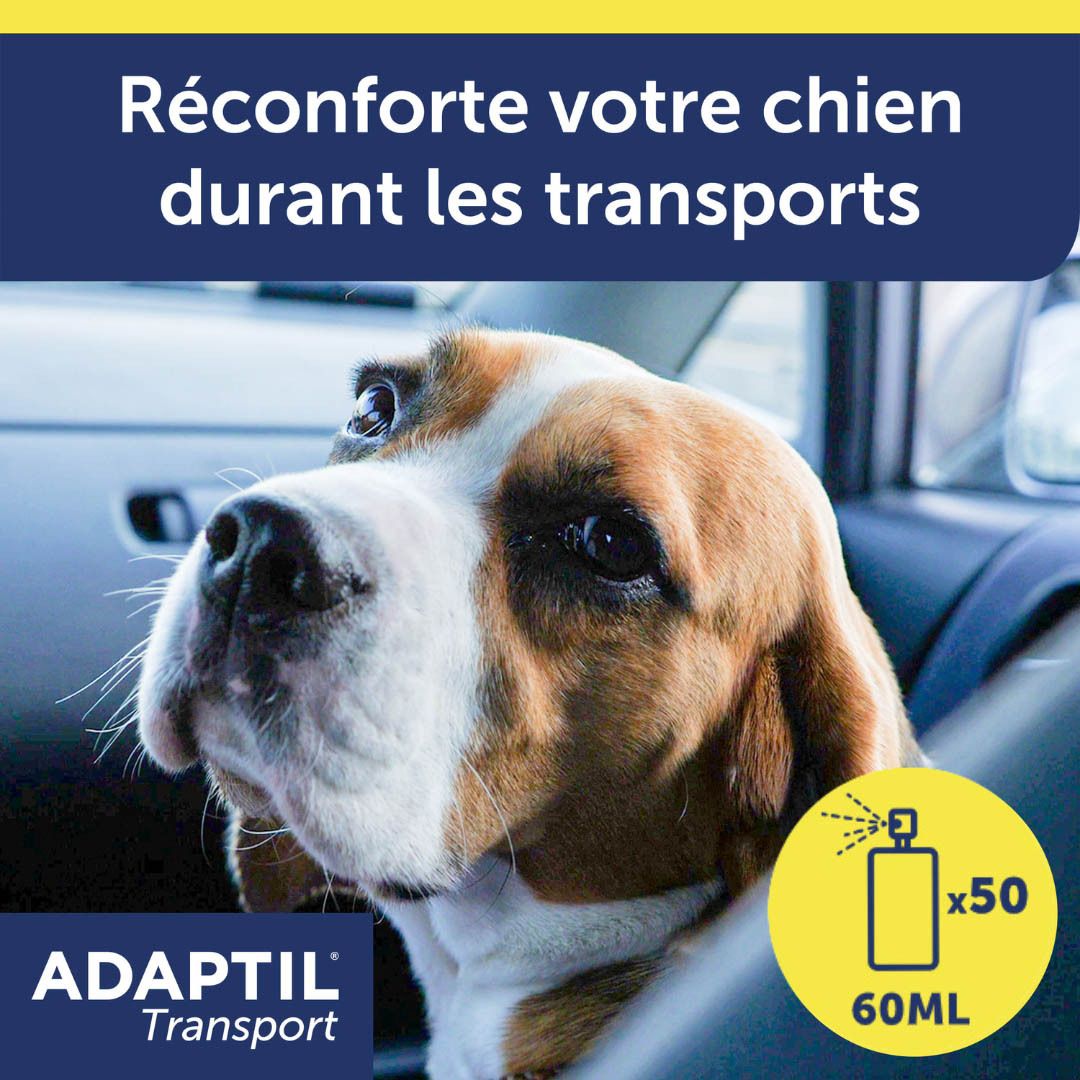 Un chien dans une voiture. Logo du spray ADAPTIL® Transport. Flacon de 60 ml.