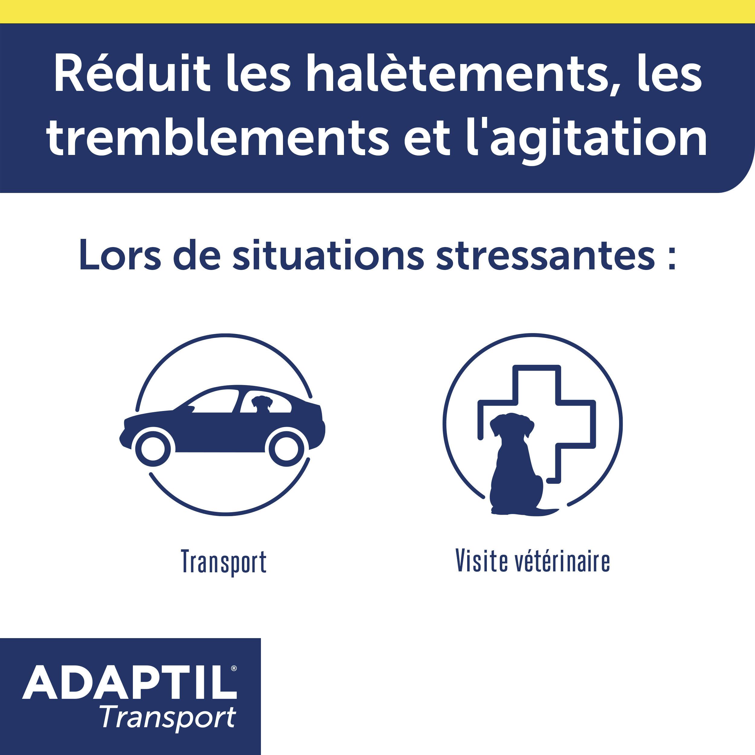 Graphique : Réduit l'halètement, les tremblements et l'agitation. Symboles de transport et de visite vétérinaire.