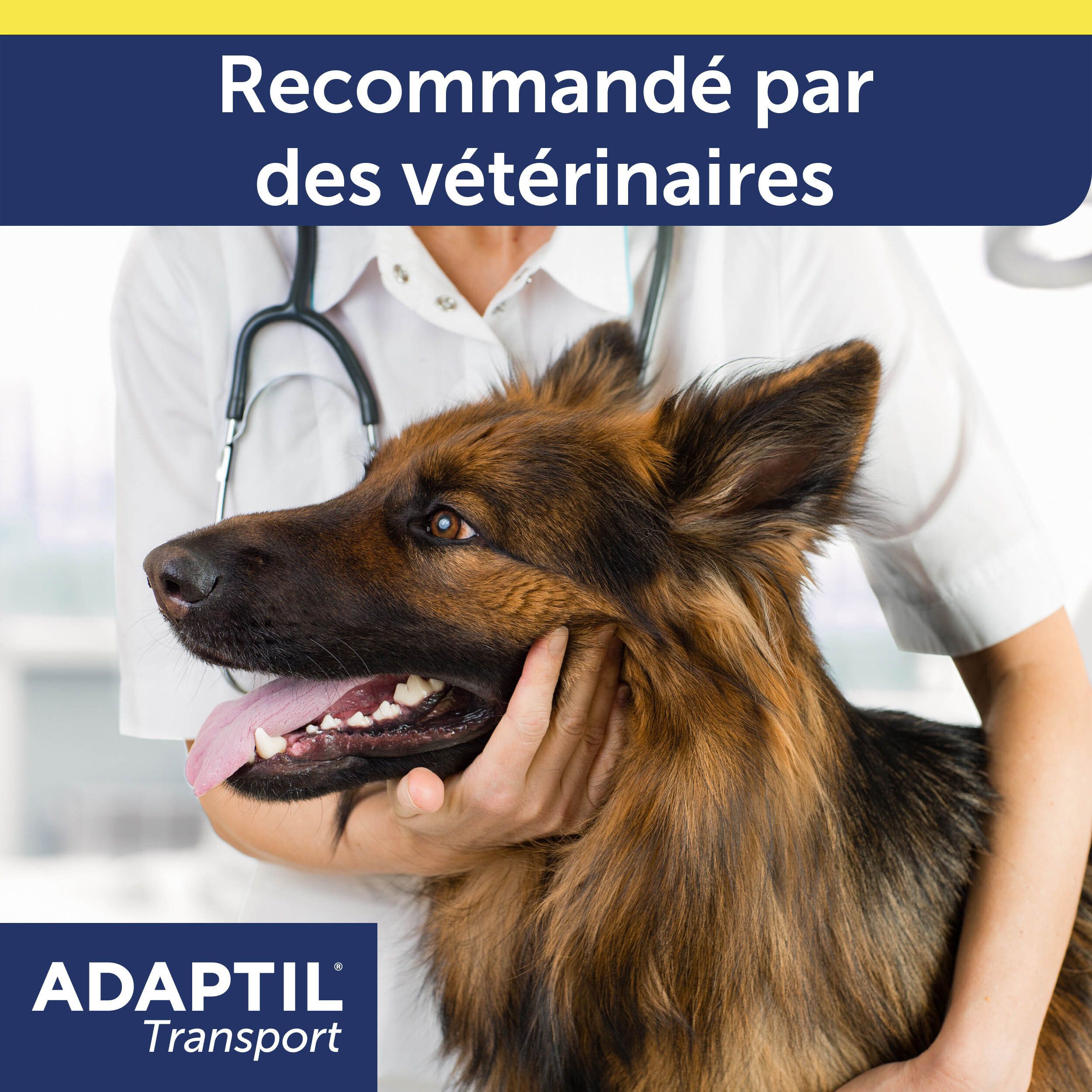 Vétérinaire examinant un chien. Logo du spray ADAPTIL® Transport. Recommandé par les vétérinaires.