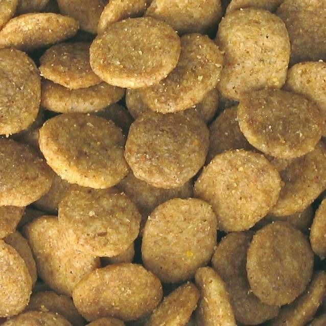 Gros plan sur des croquettes rondes et brun clair. Les croquettes sont de forme irrégulière et ont une texture granuleuse.
