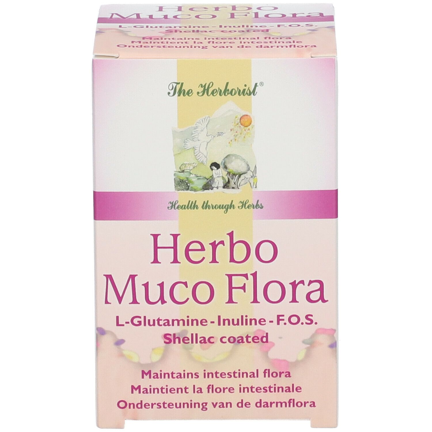 Verpackung von Herbo Muco Flora. Enthält L-Glutamin, Inulin, F.O.S. und Shellac. Unterstützt die Darmflora.