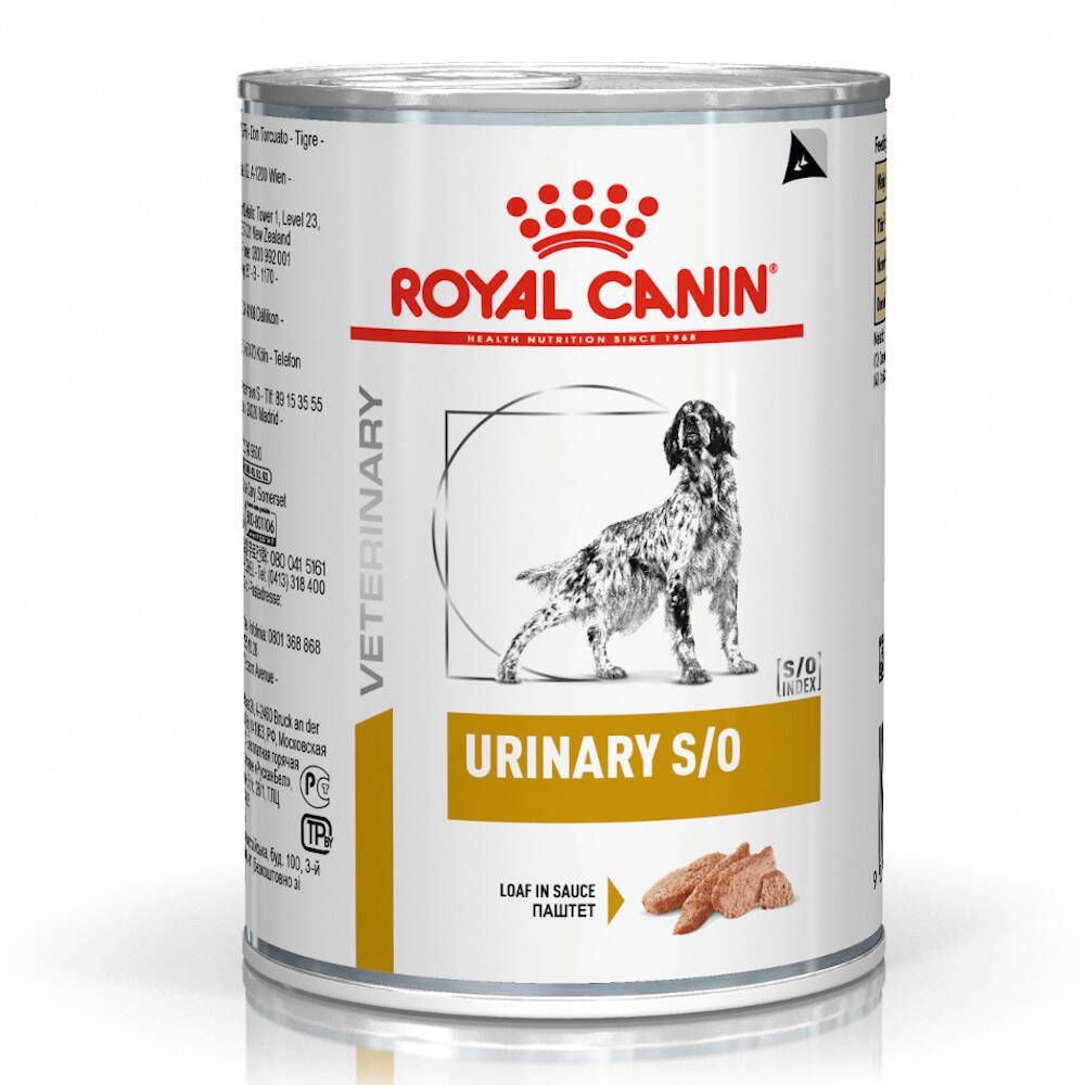 Boîte métallique "ROYAL CANIN Urinary S/O". Étiquette avec image de chien. Inscription "LOAF IN SAUCE" et logo du produit.