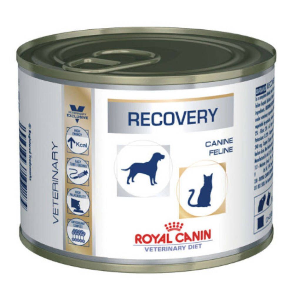 Boîte Royal Canin Recovery pour chiens et chats. Logo, texte et illustrations de chien et chat.