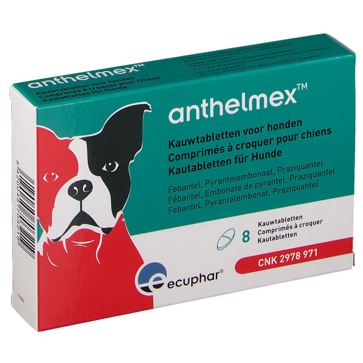 Boîte Anthelmex pour chiens. Design vert et blanc avec image de chien et nom du produit. Contient 8 comprimés.