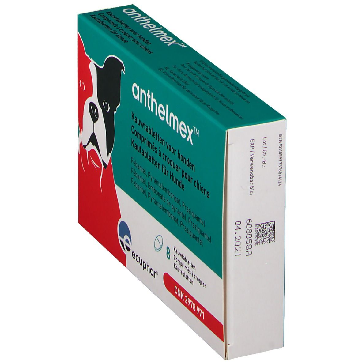 Boîte Anthelmex pour chiens, en biais. Design vert et blanc avec image de chien. Contient 8 comprimés. Logo Ecuphar.