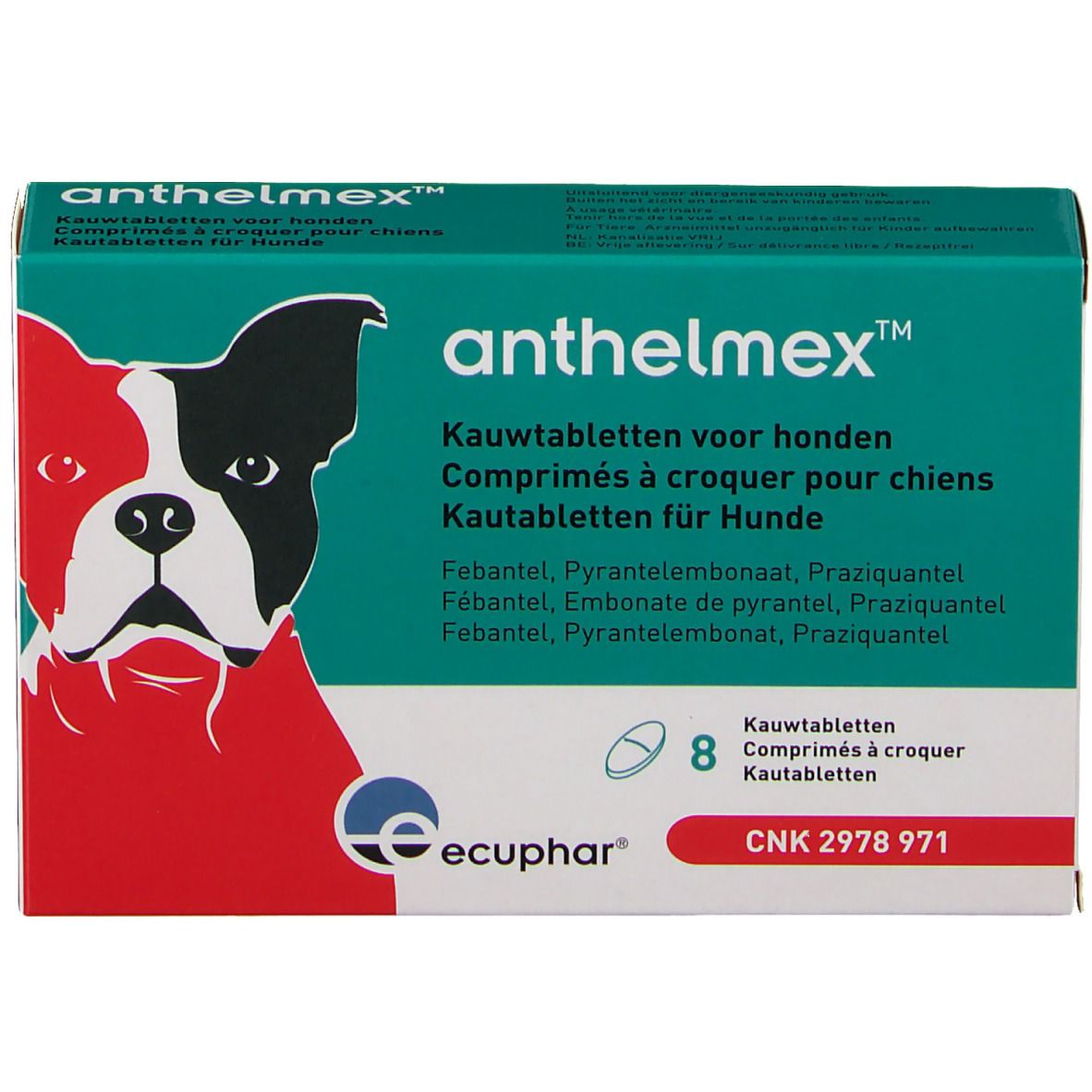 Boîte Anthelmex pour chiens. Design vert et blanc avec image de chien et nom du produit. Contient 8 comprimés.