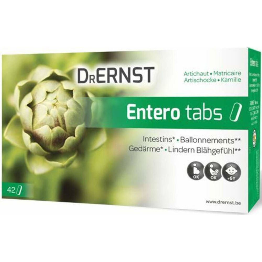Boîte de Dr. Ernst Entero tabs. Design vert et blanc avec artichaut. Texte: Entero tabs, 42 comprimés, symboles OK.