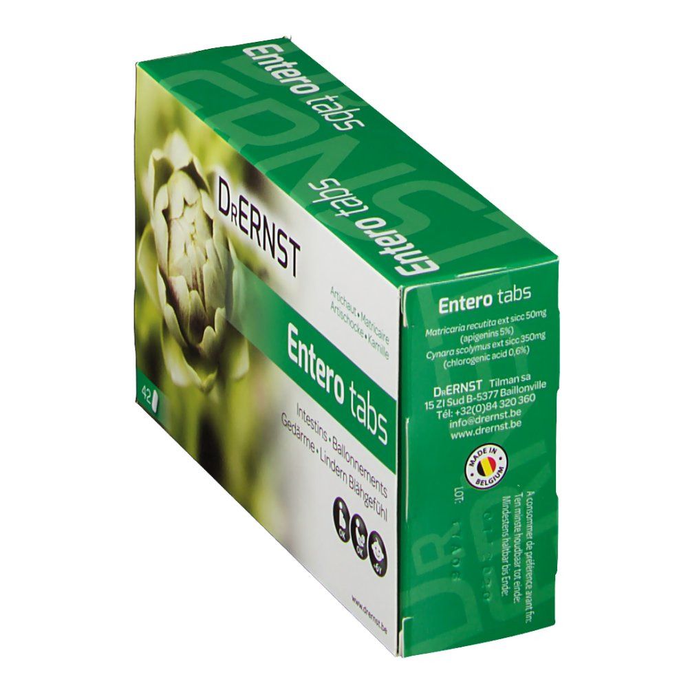 Boîte Dr. Ernst Entero tabs, en biais. Design vert et blanc avec artichaut. Texte: Entero tabs, 42 comprimés, symboles OK.
