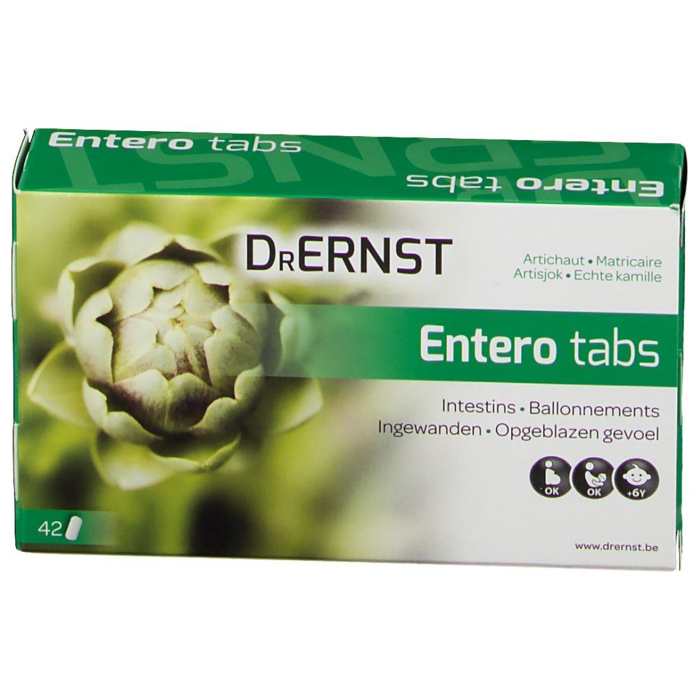 Boîte Dr. Ernst Entero tabs. Design vert et blanc avec artichaut. Texte: Entero tabs, 42 comprimés, symboles OK.