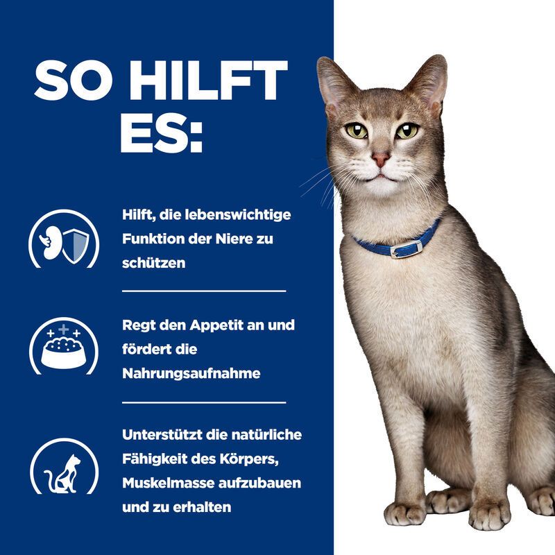 Katze mit Halsband neben Text. Text: Schützt Nierenfunktion, fördert Appetit, unterstützt Muskelmasse.