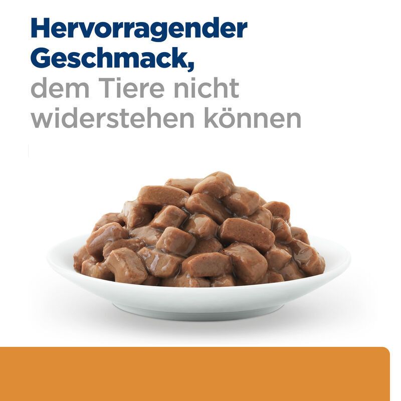 Schüssel mit Katzenfutter. Text: Hervorragender Geschmack, dem Tiere nicht widerstehen können.