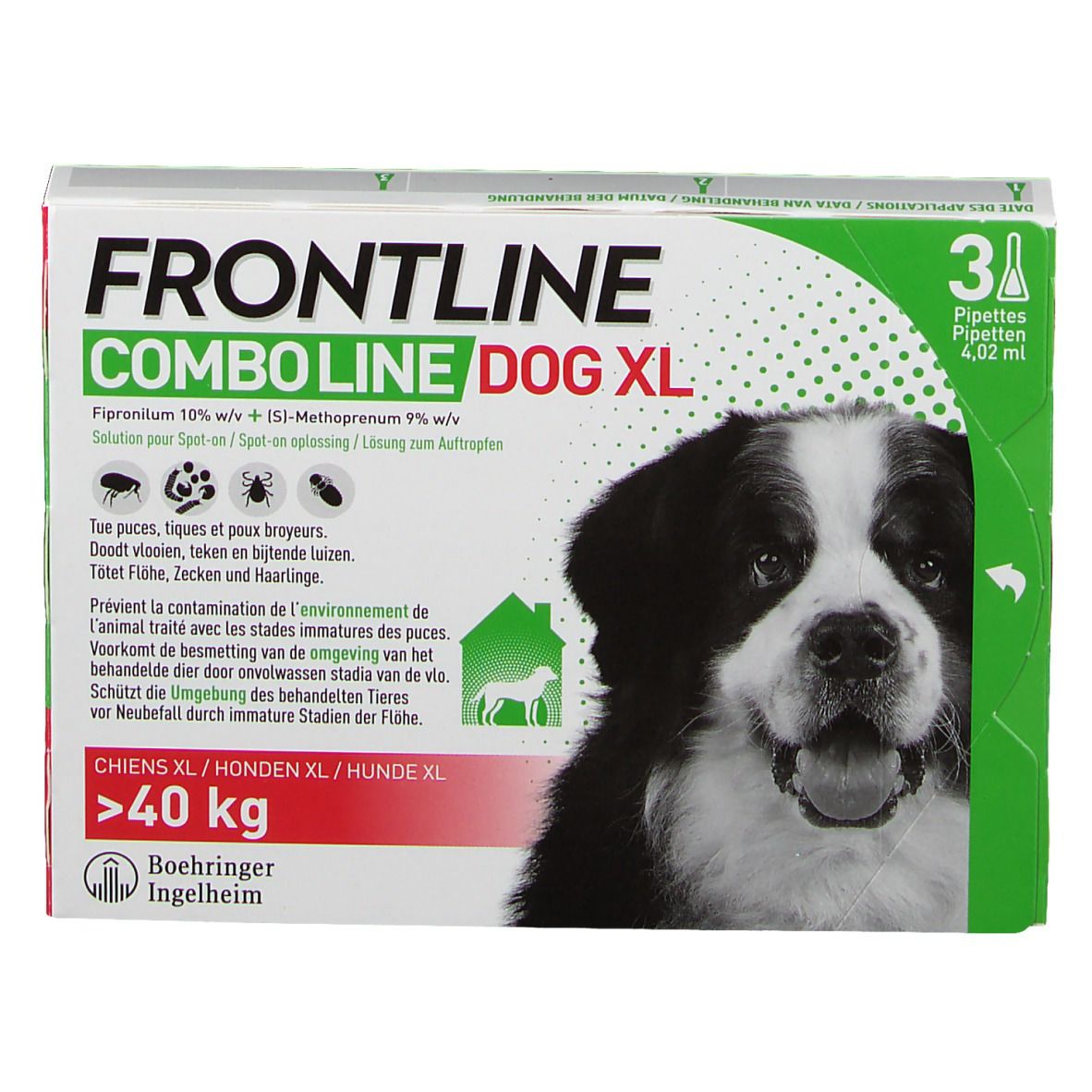 Boîte Frontline Combo Line Chien XL >40kg. 3 pipettes. Image de chien.